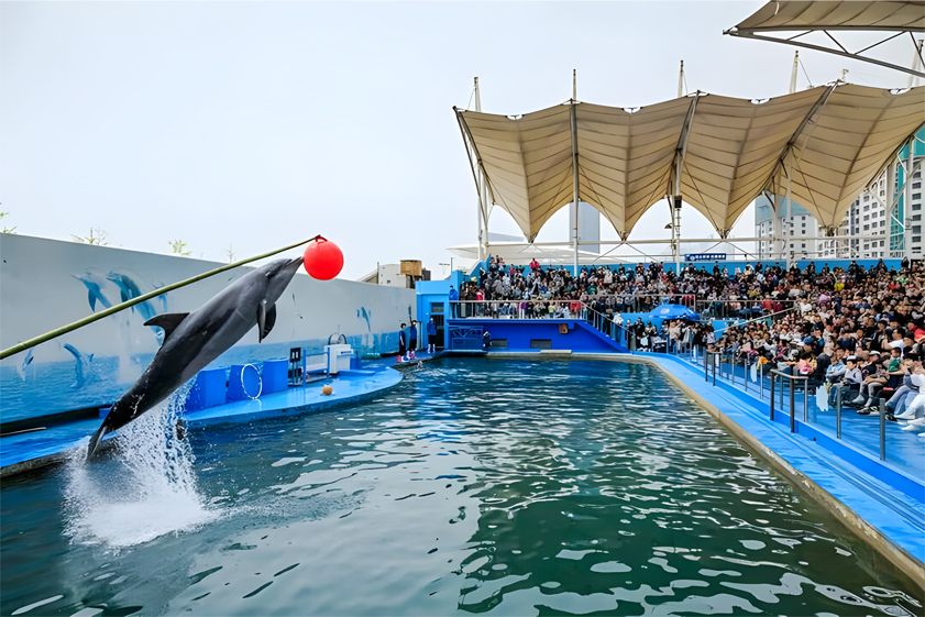 新澳海底世界